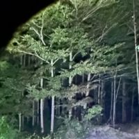 出行装备：开启美好旅程的贴心伙伴