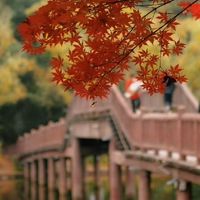 为什么穷人很少得到贵人的帮助？