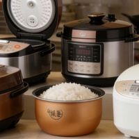 电饭煲哪个牌子的好？5 款公认最好用的电饭煲，谁用谁夸