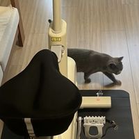 心率控速训练法助力身心进化