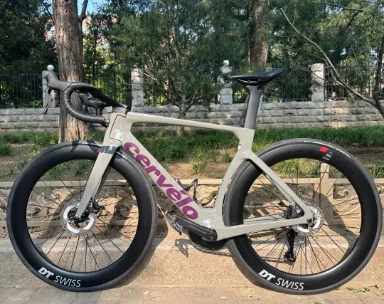 大鹅CerveloS5+捷安特GiantTCR（长期持有）