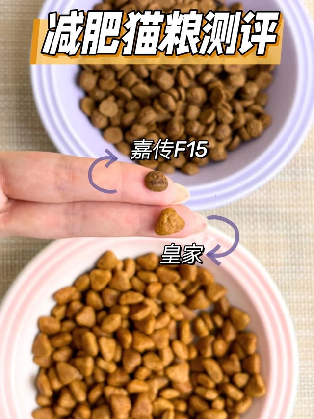 减肥猫粮哪家强？皇家vs嘉传F15