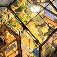方寸天地皆温柔：DIY小屋，小众爱好里的治愈时光