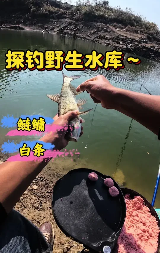 勉强破了个🐢#户外钓鱼#垂钓#沃鼎王者神剑三代大物竿