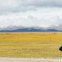 踩坑无数后，我的短途自驾装备清单终于封神