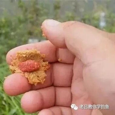 钓饵的种类大全，带你认识鱼饵以及作用