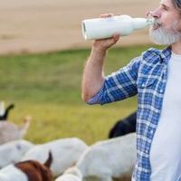 羊奶是空腹喝好还是餐后喝好？