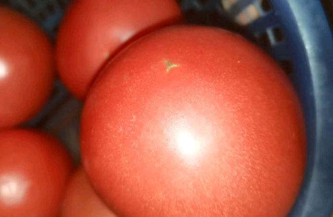 蔬菜