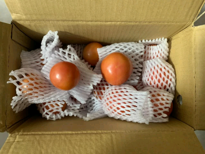 蔬菜