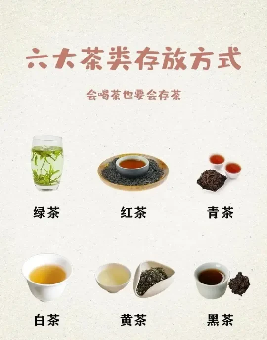 不同茶类的储存方式！