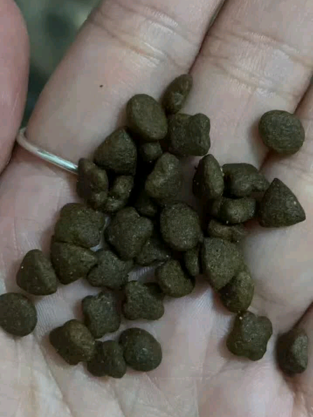 宝路成犬粮：温和口味呵护健康