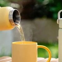 北鼎泡茶保温杯