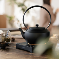 复古家电是‘情怀至上’还是‘实用为王’？1000+用户观点大碰撞