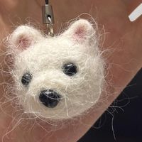 宠物毛发纪念小物件制作