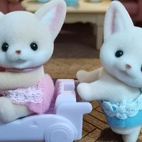 森贝儿阔耳狐双胞胎到手晒