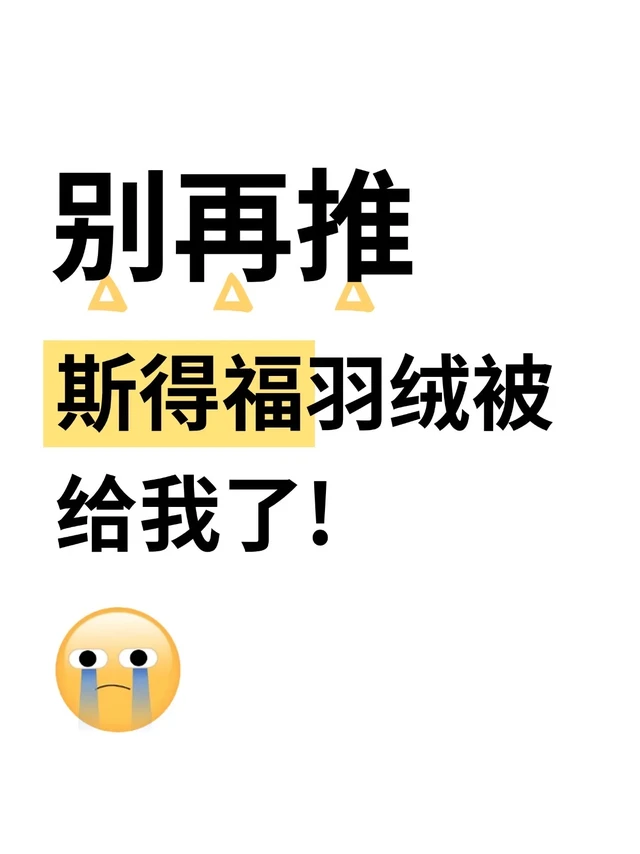 别再推斯得福羽绒被给我了！！