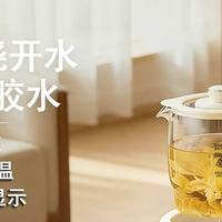 百元预算买到一台「真香」的养生壶？米栗熊养生壶深度使用报告