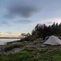 精致露营VS轻量化露营，谁才是户外新主流？1200+用户观点大碰撞