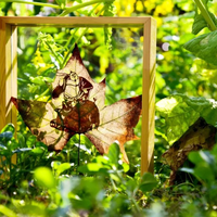 传统剪纸与叶雕微剪谁更吸睛？1000+用户观点大碰撞