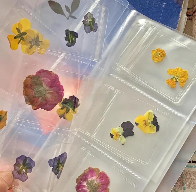 鲜花绿植