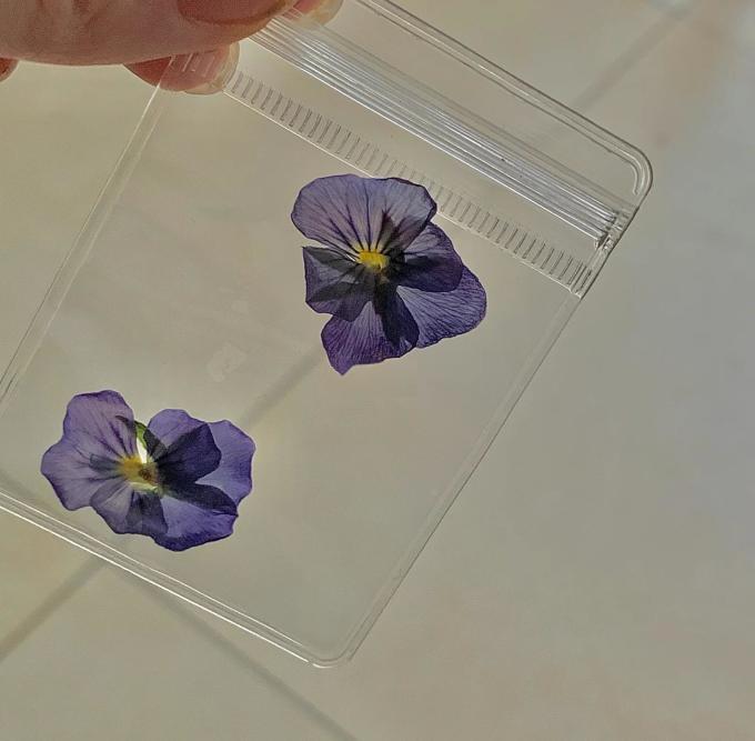 鲜花绿植
