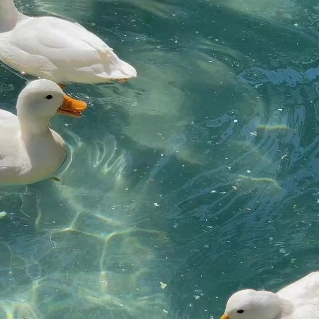 光环PMP让我的职业路更清晰