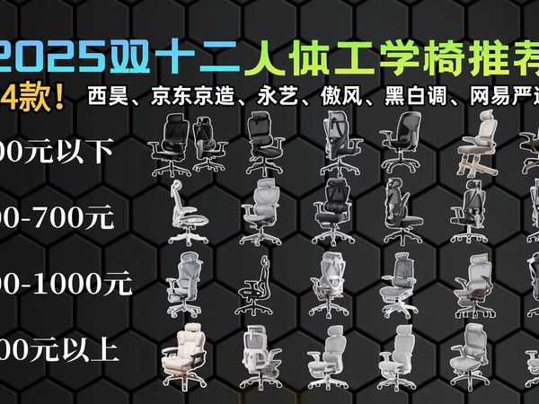 双十二电脑椅终极选购指南！耗时30天评测33款人体工学椅，从百元到千元全覆盖，西昊、永艺、黑白调、傲风全解析，附平台补贴国补攻略