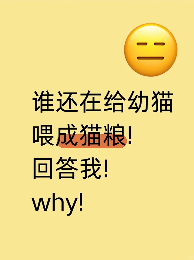 别再给幼猫喂成猫粮了！！！大漏特漏❌