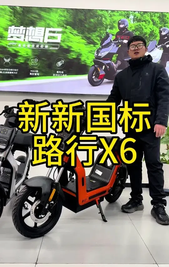 新日新新国标路行X6，集智慧、安全、DIY为一体的一款车，你喜欢吗#新日电动车 #新国标电动车 #新国标 #新日路行X6