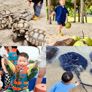 带低龄宝宝去海南，选陵水还是三亚？我们汇总了上百位家长的真实体验