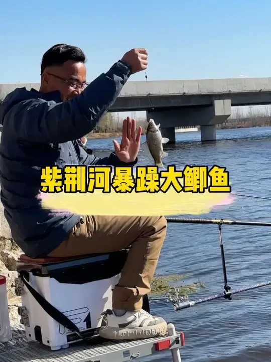 紫荆河暴躁大鲫鱼 #我的钓鲫鱼好装备 #dou是钓鱼人 #野钓鲫鱼