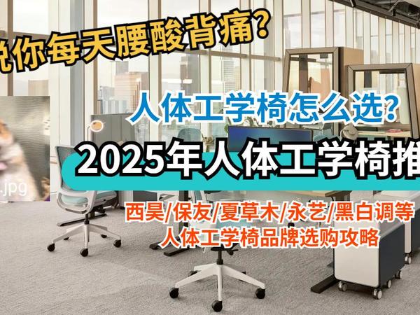 人体工学椅怎么选？2025年人体工学椅推荐，西昊/保友/夏草木/永艺/黑白调等人体工学椅品牌选购攻略【科普+推荐精华版】