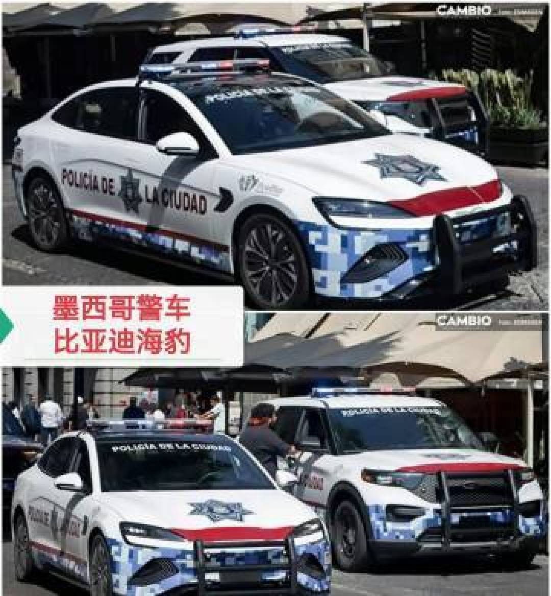 月销13万暴增300%,比亚迪的第二增长引擎是怎样炼成的