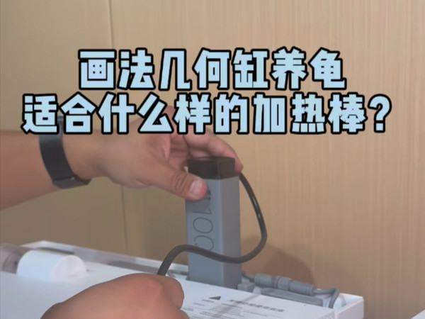 画法几何缸养龟适合什么样的加热棒？