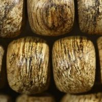 怎么判断沉香是否注油：一场文化与鉴赏的较量