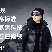 鹅绒vs鸭绒？2025羽绒服选购避坑指南，300元也能买到抗寒王者