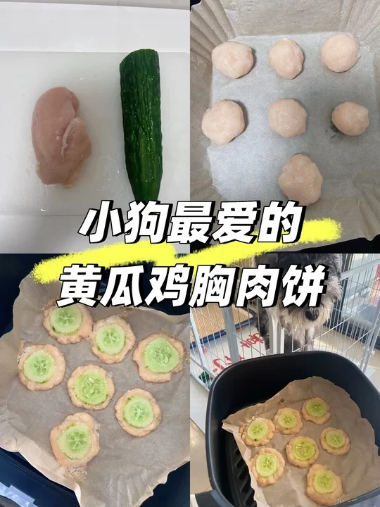 自制宠物零食，黄瓜鸡胸肉饼，狗狗超爱