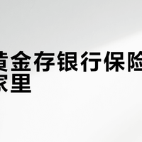家庭黄金存银行保险柜还是放家里？我们汇总了87位用户真实观点，答案在这