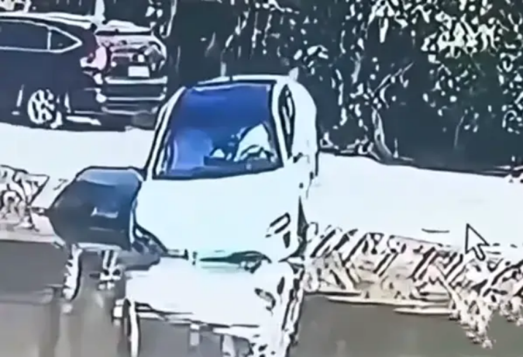 微信图片_20251208115538_214_7.png