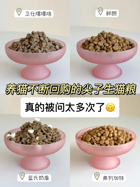 4款国产猫粮喂养感受(进来抄作业