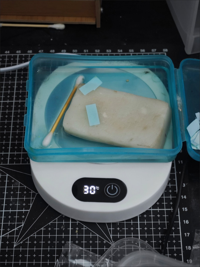 其他生活电器