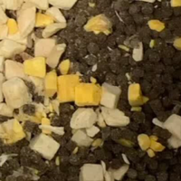 双12什么猫粮值得推荐？铲屎的这几年，我终于发现了玻璃胃的救星