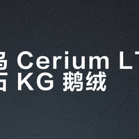 始祖鸟 Cerium LT vs 凯乐石 KG 鹅绒？我们汇总了127位用户真实体验，答案在这