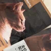 三年铲屎官真心话：这肠胃守护粮，让我家两只玻璃胃猫咪终于稳了