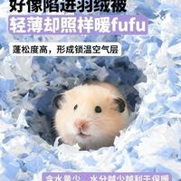 ✨养鼠人必看！冬季垫料选对，鼠子暖过一整冬+告别异味烦恼！
