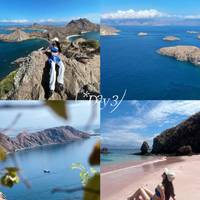 科莫多岛终极攻略：探秘现实版侏罗纪