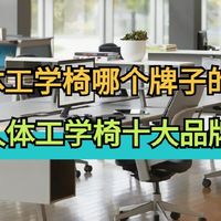 人体工学椅哪个牌子的好 2025年人体工学椅十大品牌排行榜