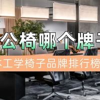 人体办公椅哪个牌子好用？热门人体工学椅子品牌排行榜前十名