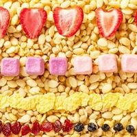 三只松鼠益生元每日酸奶水果燕麦脆：减脂代餐的“宝藏神器”