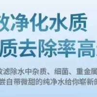 双十二净水器滤芯怎么选？十年净水器老师傅给你答案